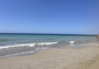 Bed And Breakfast Resort Suitebeach